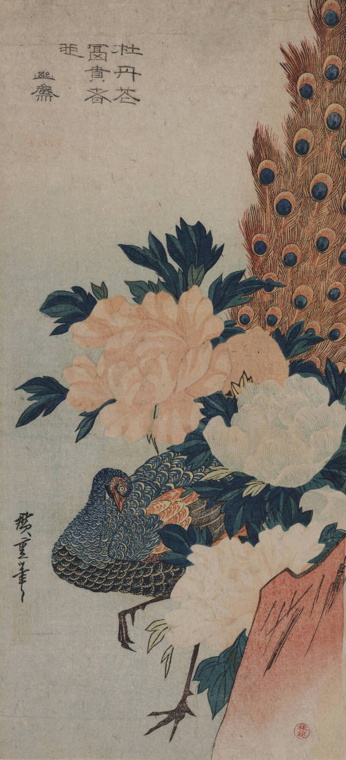 image overall