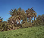 Image provided by artist