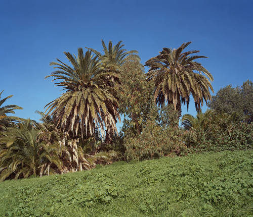 Image provided by artist