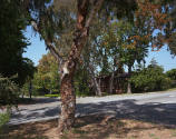 Image provided by artist