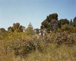 Image provided by artist