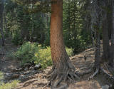 Image provided by artist