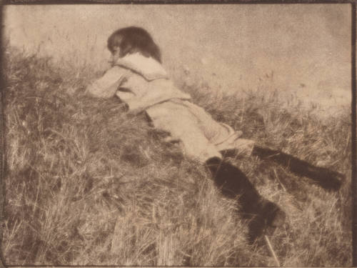 image overall