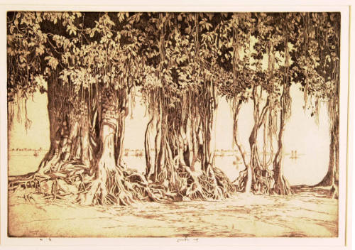 The Banyan Tree