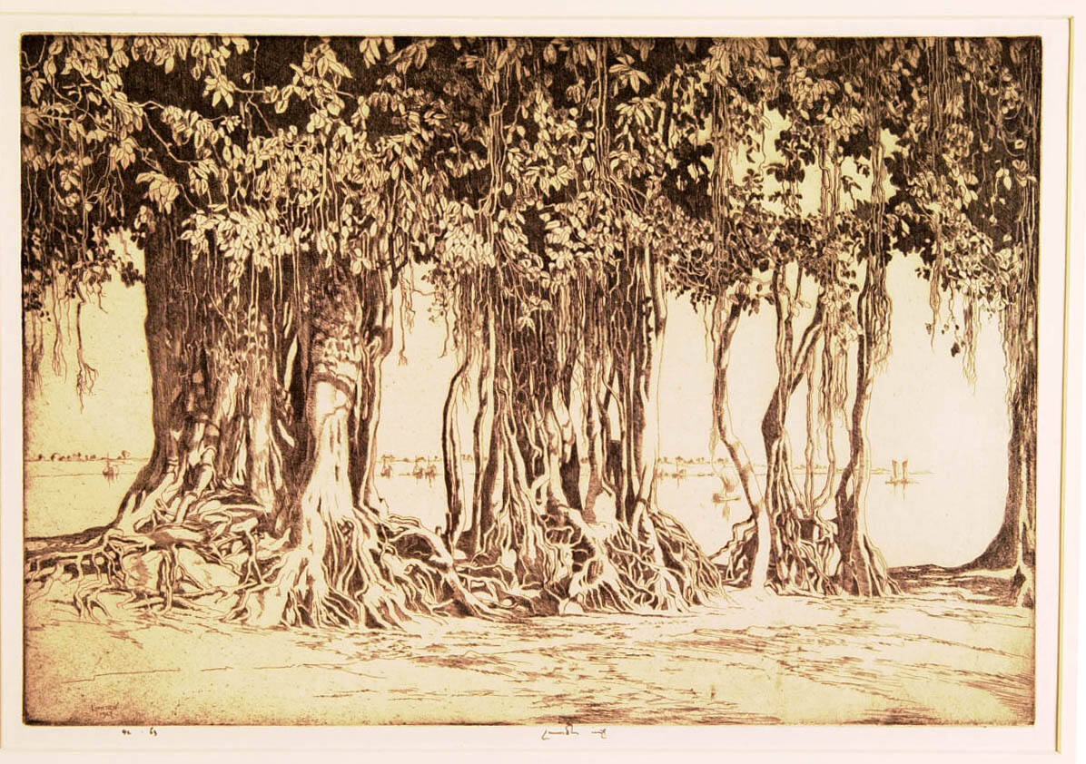The Banyan Tree