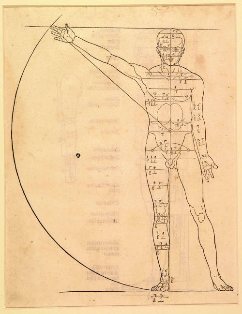 Page from Dürer's Book of Human Proportions