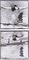 overall image