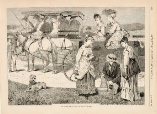 The Picnic Excursion