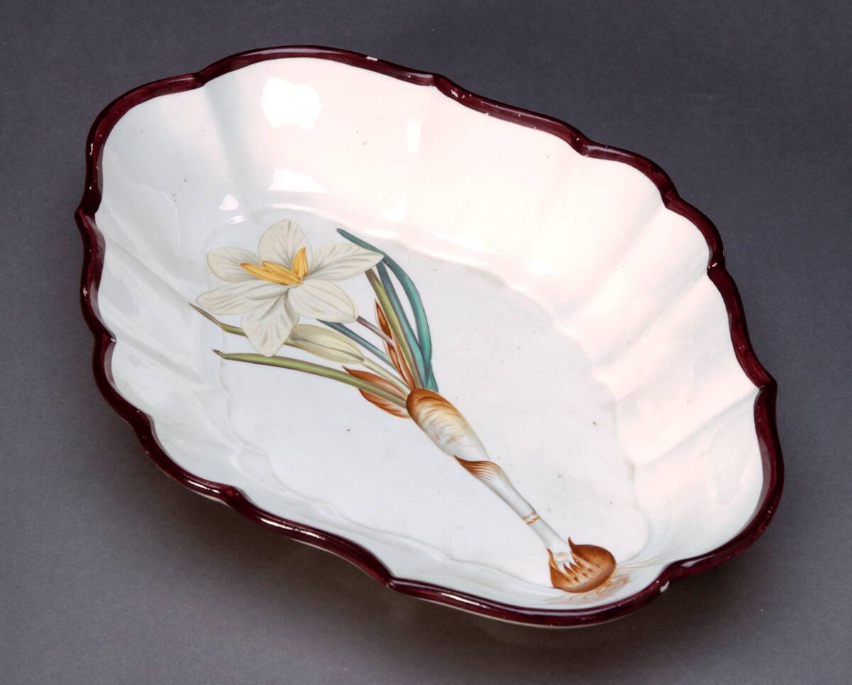 Dish
