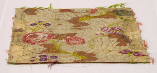 Fragment