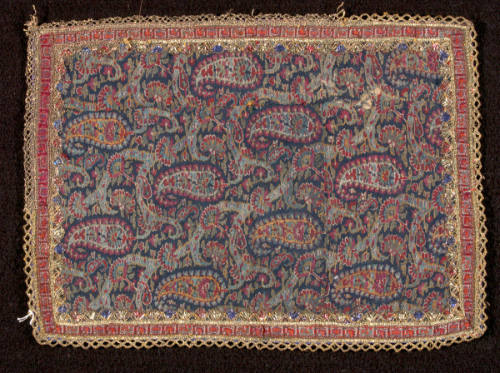 Fragment of a Kashmir Shawl