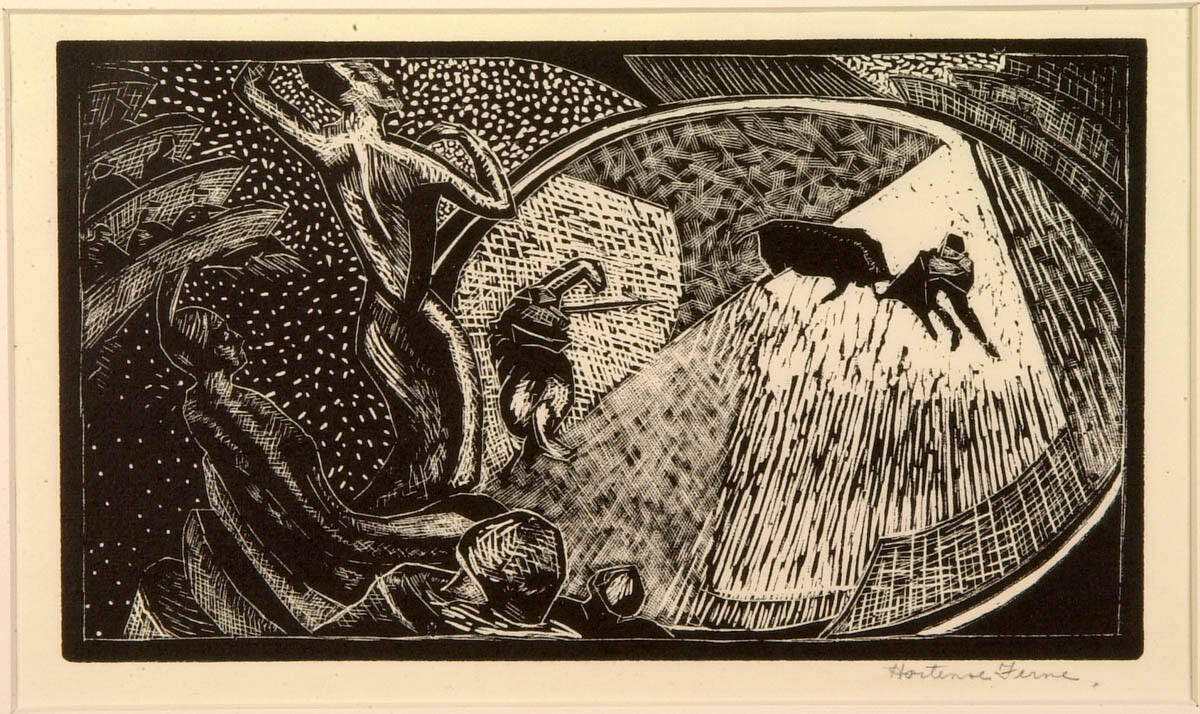 Bull Fight