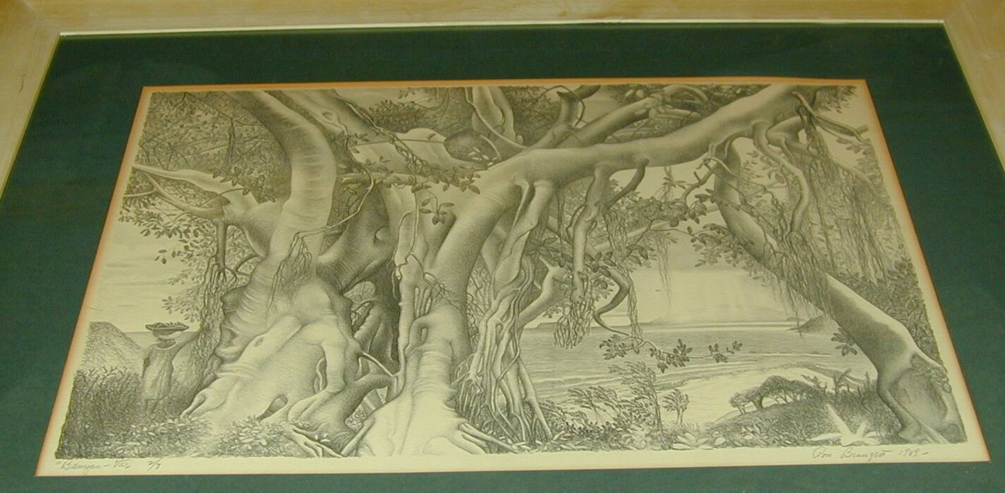Banyan Tree