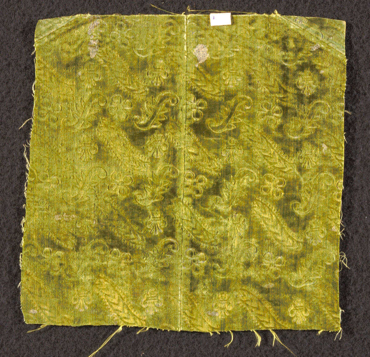 Fragment