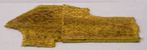 Fragment