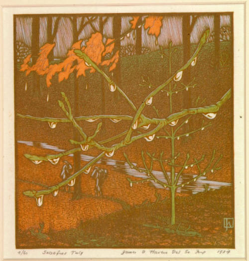 Sassafras Twig