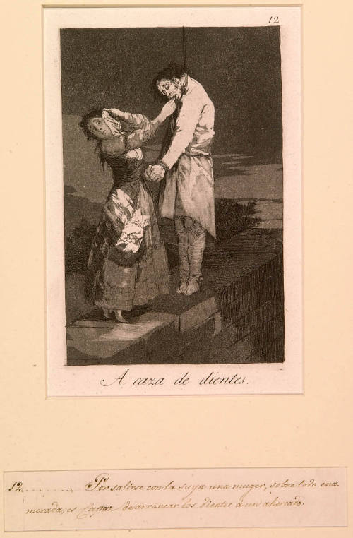 Hunting for Teeth (No. 12)