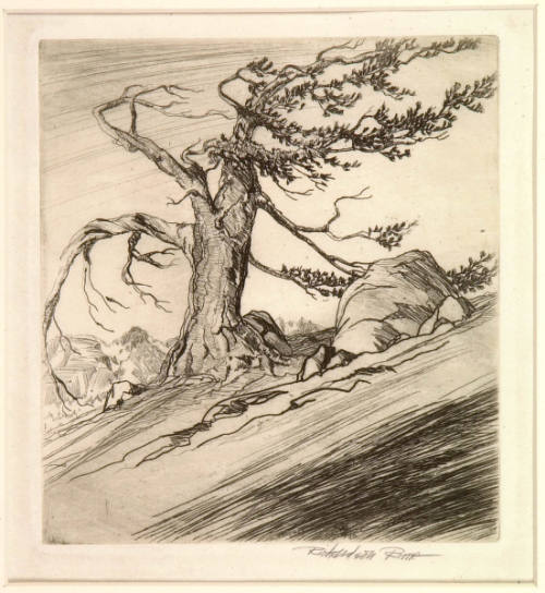 Veteran of the Range