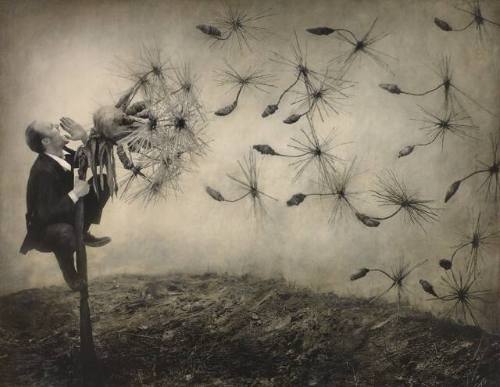 Pollination