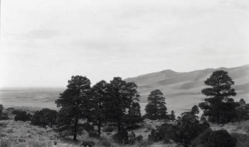 Colorado Landscape #8