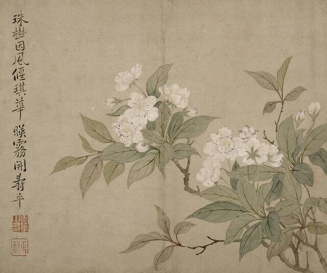 Pear Blossoms (Lihua)
