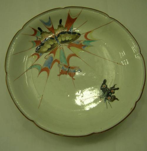 Dish