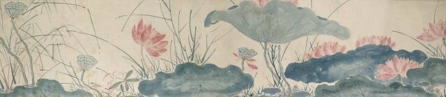 Life Cycle of the Lotus