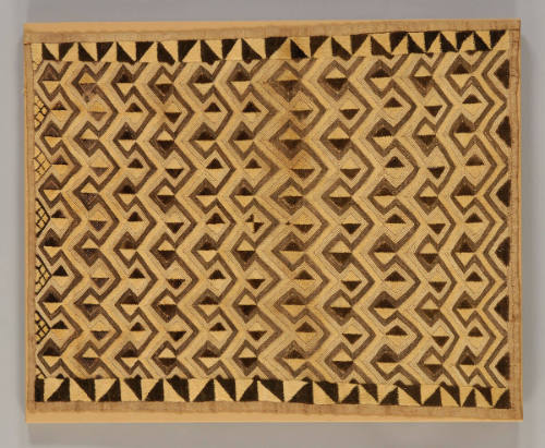 Panel