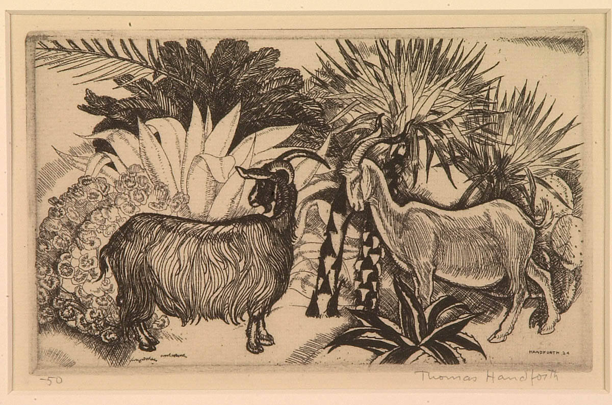 Sicilian Goats