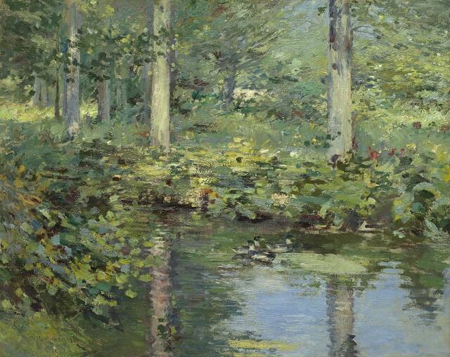 The Duck Pond
