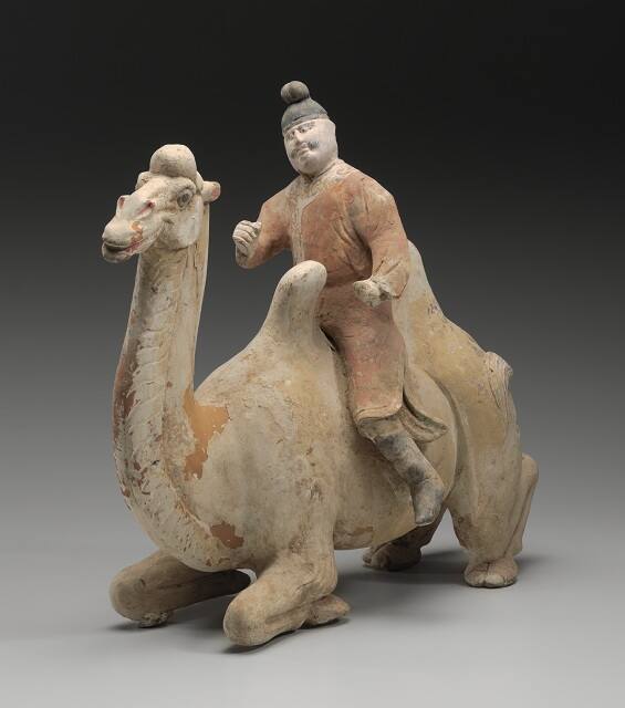 Bactrian Camel with Central Asian Rider