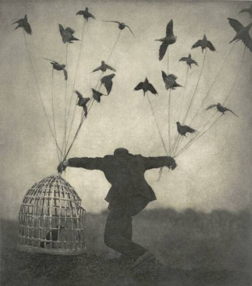 Flying Lesson