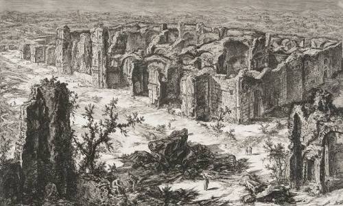 The Baths of Caracalla. Bird's-Eye View