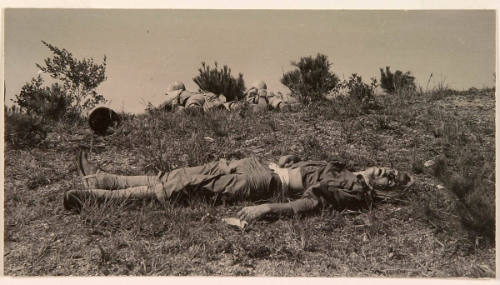 Dead U.S. Marine on Hilltop in Korea, 1950, and Picasso's Reaction to this Photograph