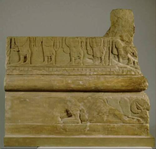 Fragment of a Funerary Urn Sarcophagus