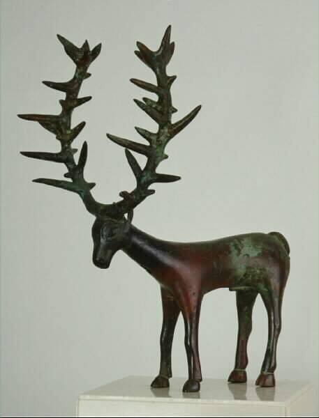 Antelope
