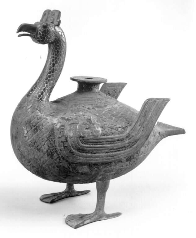 Crested Water Bird