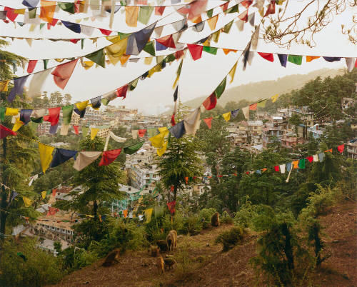 Tibetan refugees living in the McLeod Ganj district of Dharamsala in the Dhauladhar range of the Himalayas in Northern India.  Buddhist prayer flags adorn the hillsides