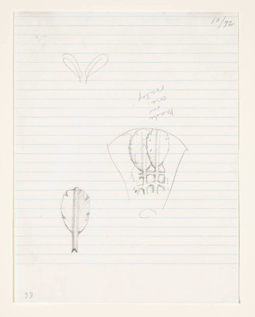 Notebook Page: Study of Shuttlecock Feathers