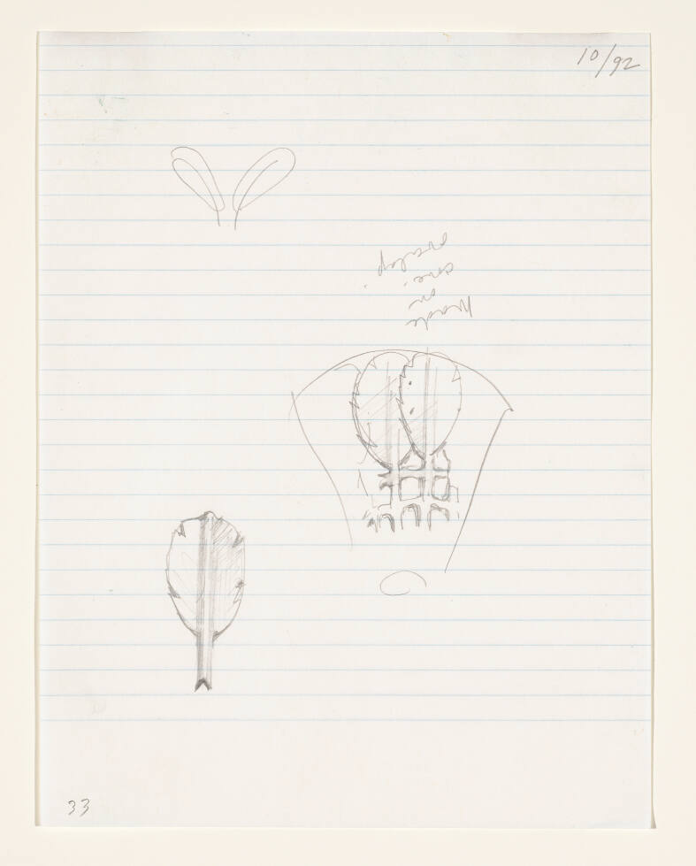 Notebook Page: Study of Shuttlecock Feathers