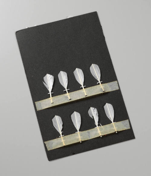 Various Shuttlecock Feathers