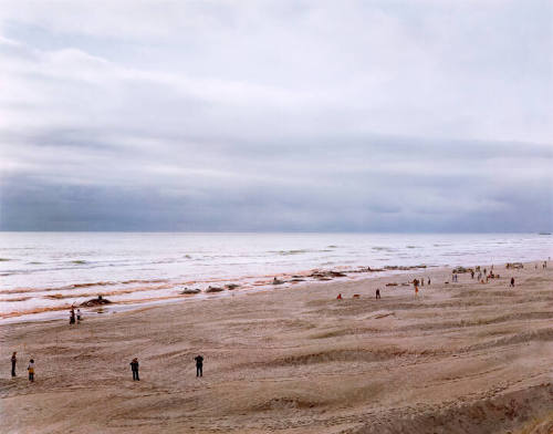 Joel Sternfeld