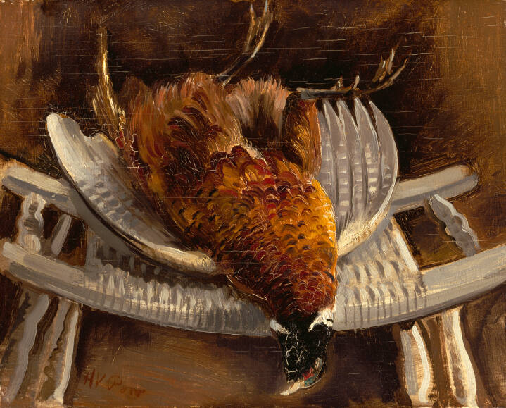 Dead Pheasant