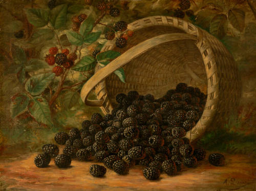 Blackberries
