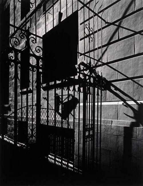 City Whispers: Philadelphia