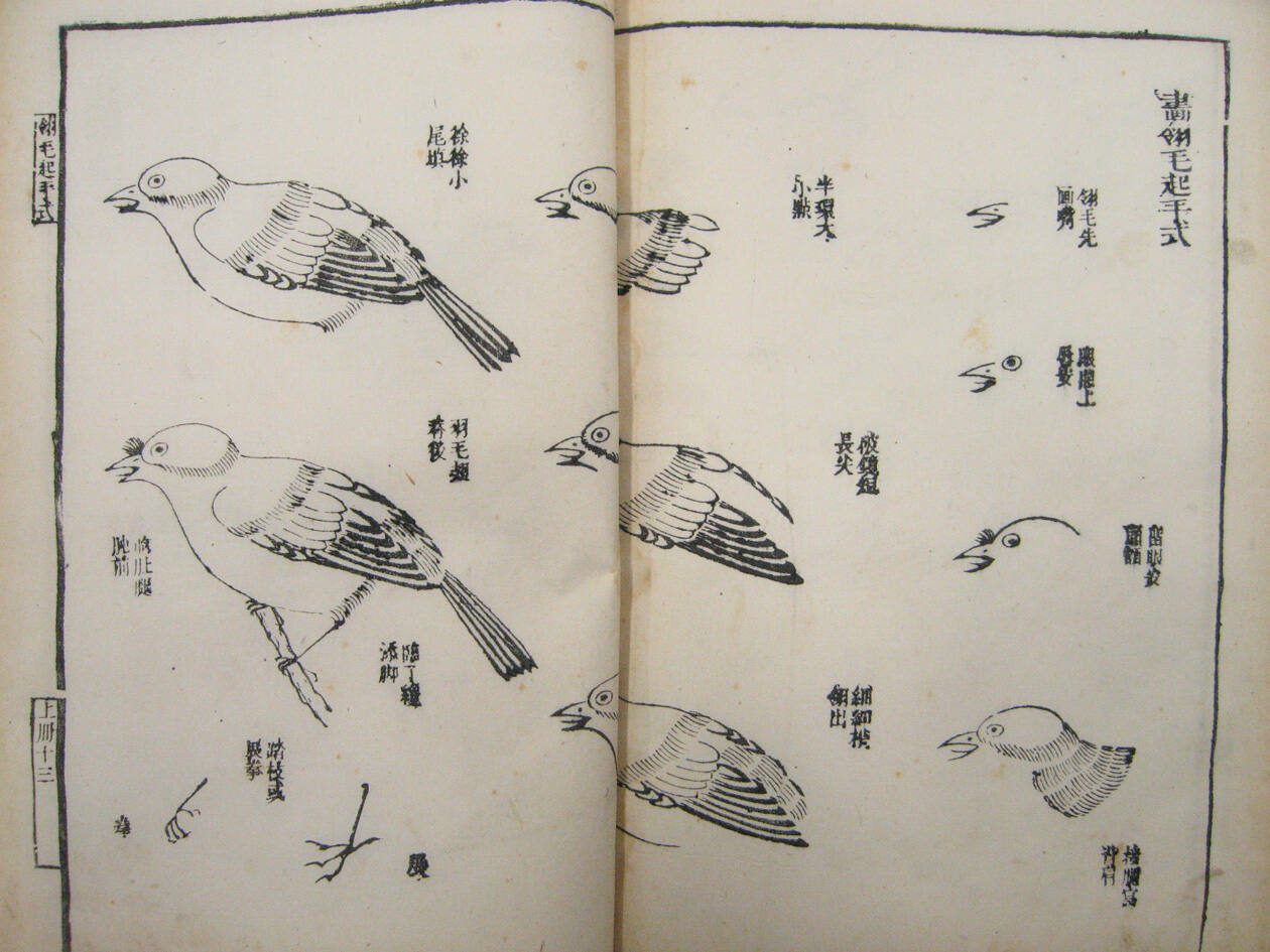 The Mustard Seed Garden Painting Manual, Part 3, Vol. 2: Birds and Flowers