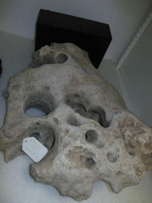 Fantastic Rock
