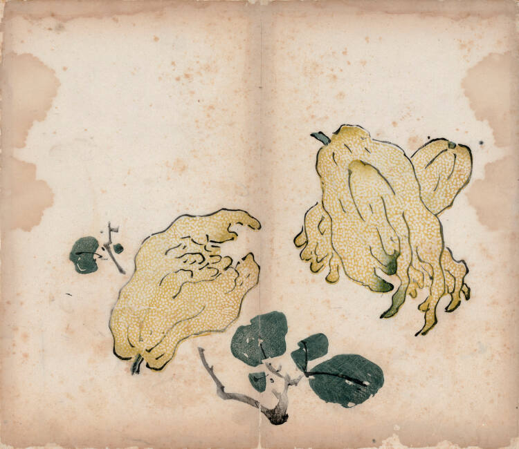 Three Buddha's Fingers