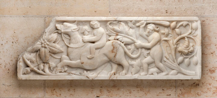Wildman Relief