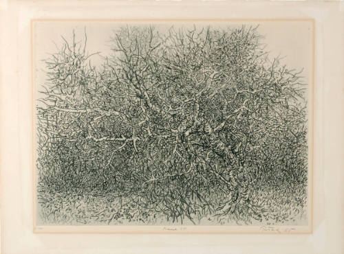 Gabor Peterdi